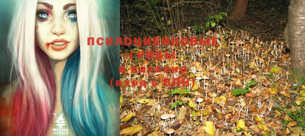 mdpv Надым