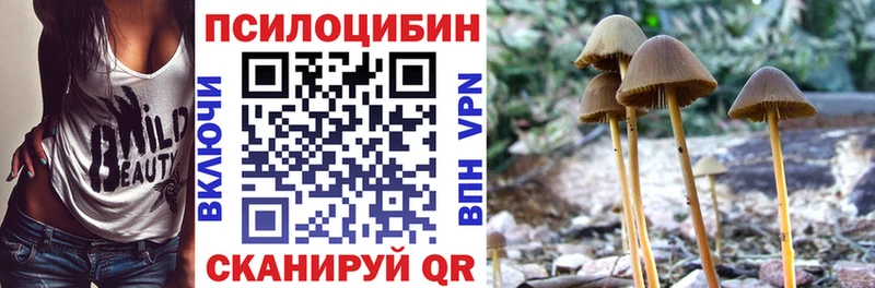 Псилоцибиновые грибы Psilocybine cubensis Нефтекумск